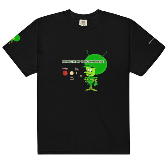 Smkboyz Perception  Heavyweight T-Shirt